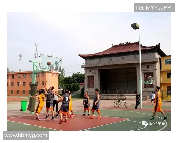 对话杨敏：谈篮球生涯