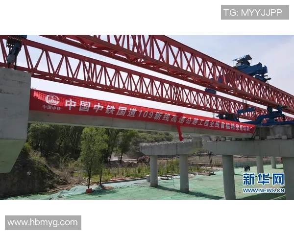 专访赵丽：解密篮球成功之道